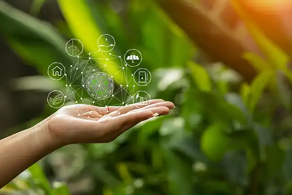 Green Chemistry and Biotech